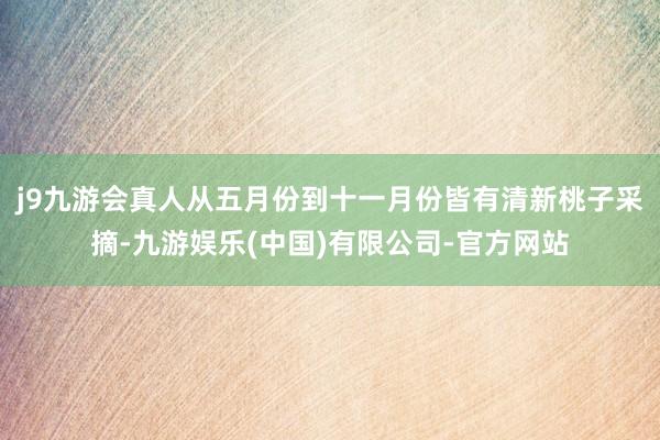 j9九游会真人从五月份到十一月份皆有清新桃子采摘-九游娱乐(中国)有限公司-官方网站