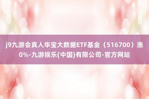 j9九游会真人华宝大数据ETF基金（516700）涨0%-九游娱乐(中国)有限公司-官方网站